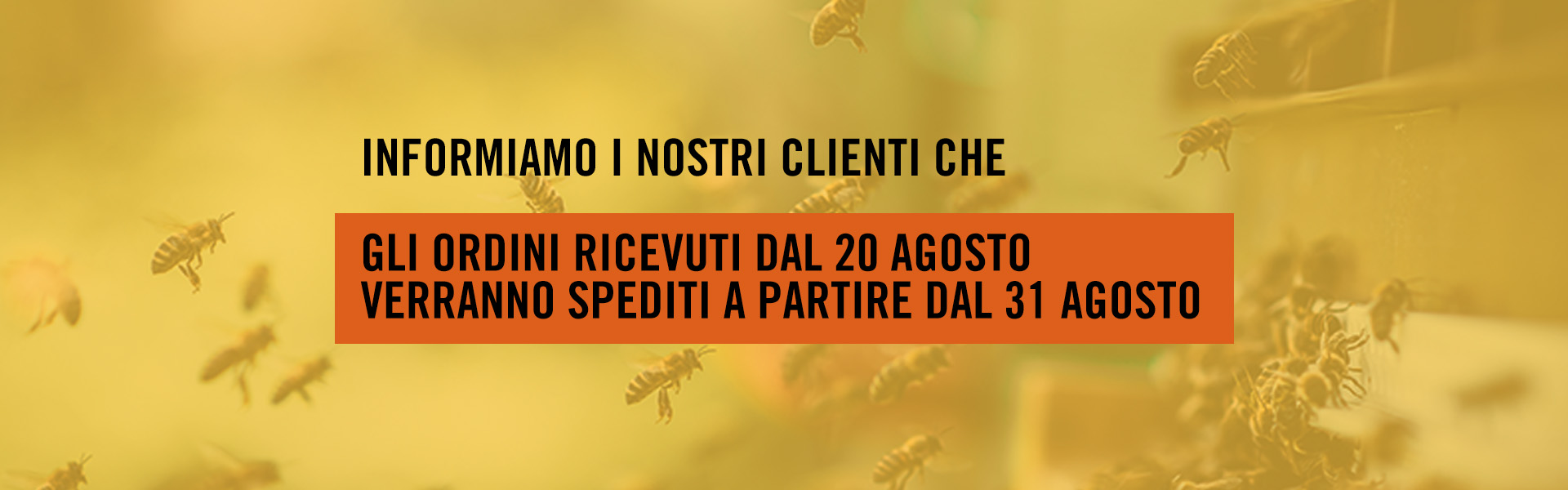 Spedizioni Agosto